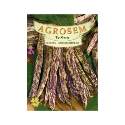 Seminte Fasole pitică   pastaie tarcată M. del Piemonte TRATAT AGROSEM 50 g