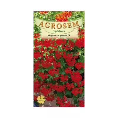 Seminte Flori Muşcate  curgătoare roşii F1  AGROSEM 3 sem