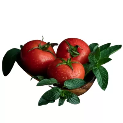 Tomate - Seminte Tomate ATTIYA F1 Rijk Zwaan 100 sem, hectarul.ro