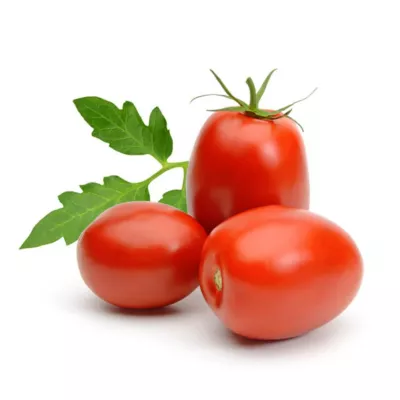 Tomate - Seminte Tomate RIO GRANDE Pop Vriend 10 g, hectarul.ro