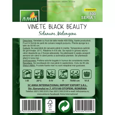 Vinete - Seminte Vinete BLACK BEAUTY A AMIA 2gr, hectarul.ro