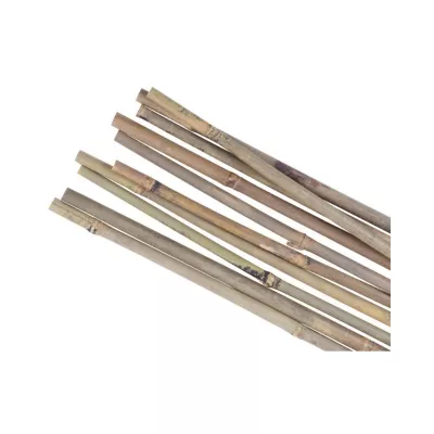 Unelte de gradinarit - Suport/arac bambus KBT 0900/08-10 mm, hectarul.ro