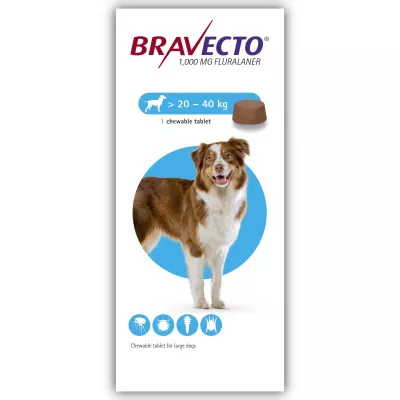 Antiparazitare - Bravecto (20-40 kg) 1 tbl x 1000 mg, magazindeanimale.ro