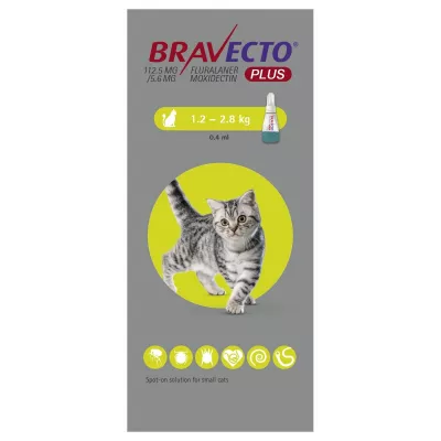 Antiparazitare - Bravecto Plus Spot On Cat 112,5 mg (1.2-2.8 kg), magazindeanimale.ro