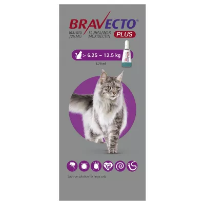 Antiparazitare - Bravecto Plus Spot On Cat 500 mg (6.25-12.5 kg), magazindeanimale.ro
