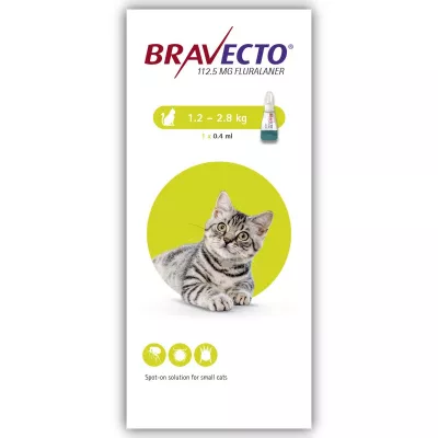 Antiparazitare - Bravecto Spot On Cat 112,5 mg (1.2-2.8 kg), magazindeanimale.ro