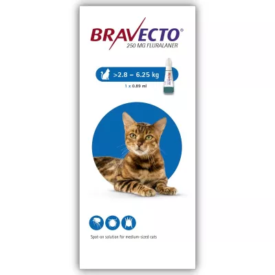 Antiparazitare - Bravecto Spot on Cat 250 mg (2.8 - 6.25 kg) , magazindeanimale.ro