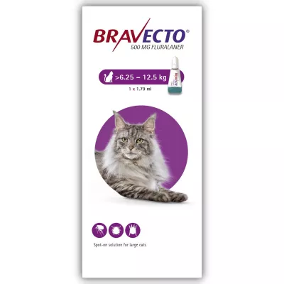 Antiparazitare - Bravecto Spot On Cat 500 mg (6.25-12.5 kg), magazindeanimale.ro