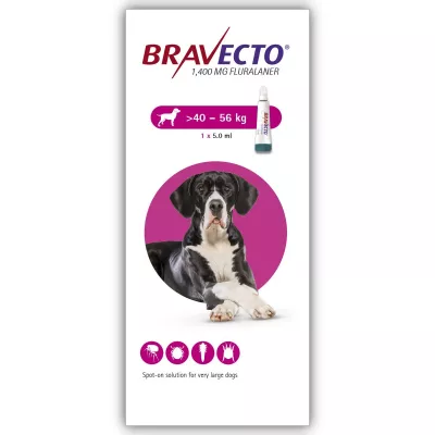 Antiparazitare - Bravecto Spot On Dog 1400 mg (>40-56 kg), magazindeanimale.ro