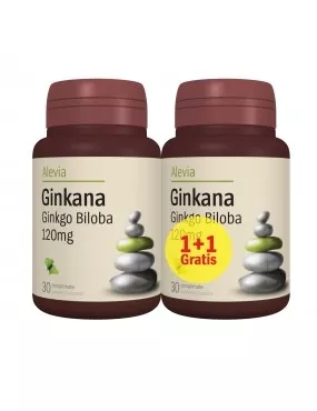 ALEVIA GINKANA GINKGO BILOBA 120 MG 30 + 30CP