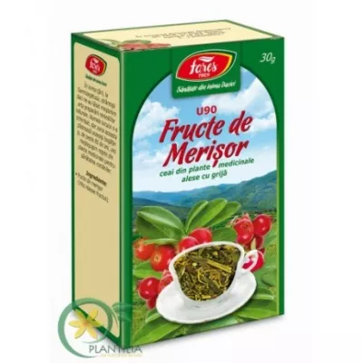 CEAI MERISOR X 20 PLICURI