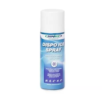 DISPOTECH SPRAY RECE INSTANT 200ML