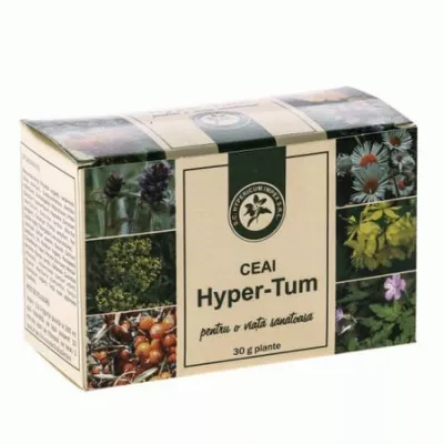 HYPERICUM HYPER TUM CEAI ANTTITUMORAL 30 G