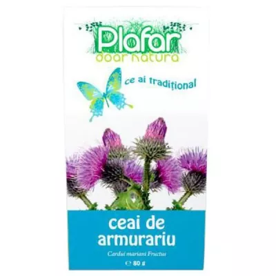 PLAFAR CEAI ARMURARIU FRUCTE 80 G