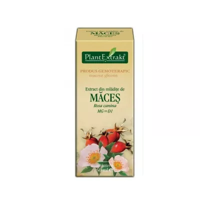 PLANTEXTRAKT EXTRACT DIN MLADITE DE MACES 50ML