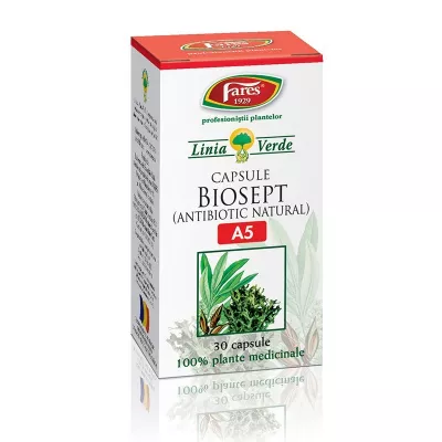 REMEDIA ACID FOLIC 1MG 100CP