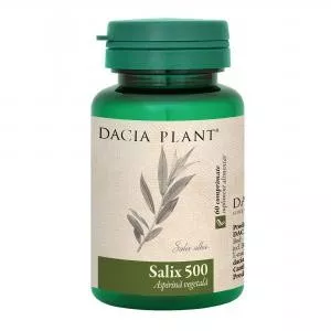 SALIX 500 X60CPR