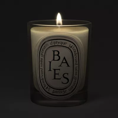 BAIES
