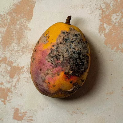 BLACK MANGO