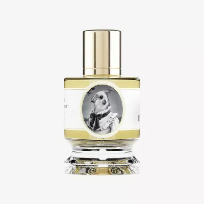 COCKATIEL