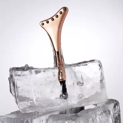 CRYO-TECH FACIAL TOOL