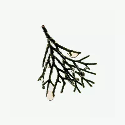CYPRESS CONDITIONER