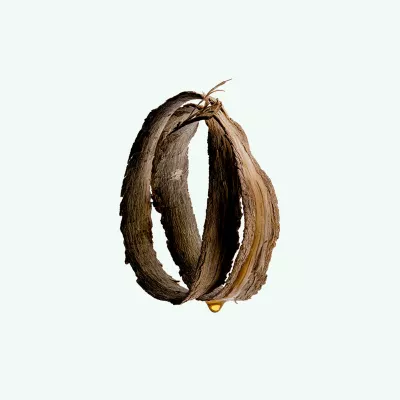 KATRAFAY BODY SCRUB