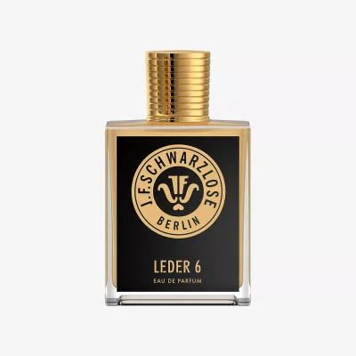 LEDER 6