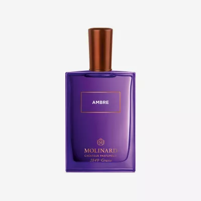 LES ELEMENTS AMBRE