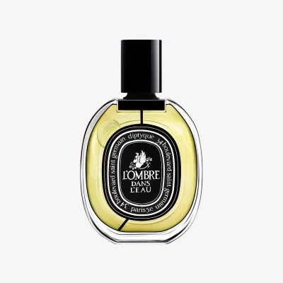L'OMBRE DANS L'EAU