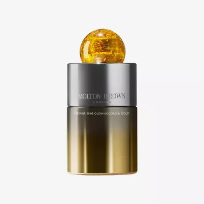 MESMERISING OUDH ACCORD & GOLD LE