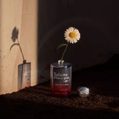 ODE TO DULLNESS