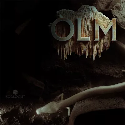 OLM