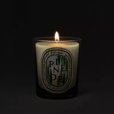 PINEDE LE