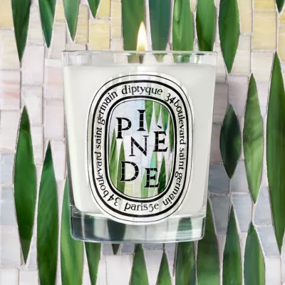 PINEDE LE