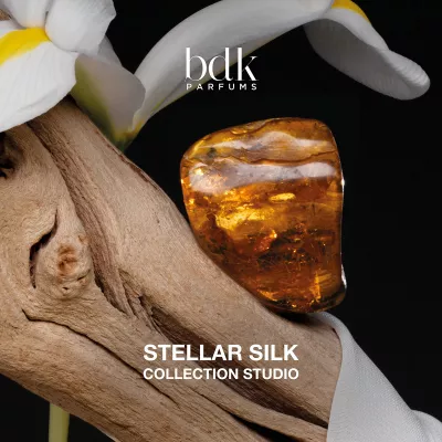 COLLECTION STUDIO STELLAR SILK