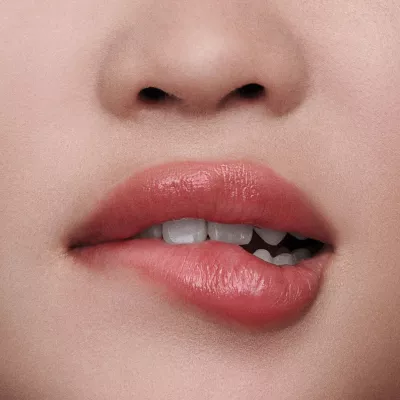 THE LIP BALM SHADE 1