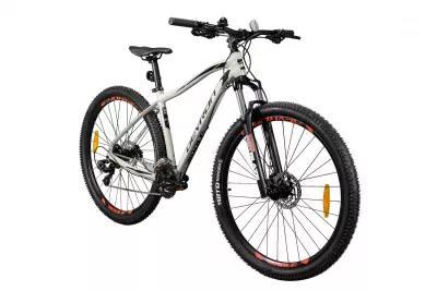 BICICLETA MTB DEVRON 2023 RM1.9 - 29INCH ARGINTIU L