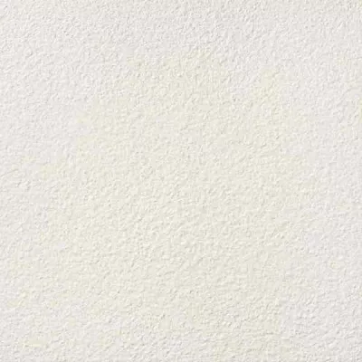 Gresie - GRESIE GRANITI WHITE 59,8 x 59,8, dennver.ro