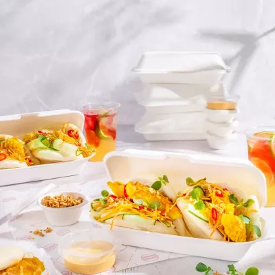 CASEROLA BIO SANDWICH/HOT DOG/DESERT   50/SET