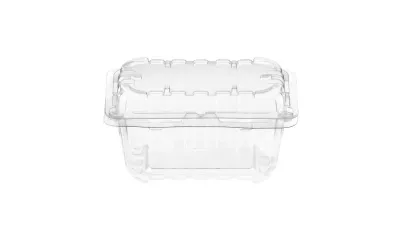 CASEROLA DREPTUNGHIULARA R1511.080