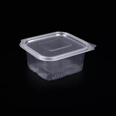 Caserole PET si PP - CASEROLA PP 500 GR 100 SET, deterlife.ro