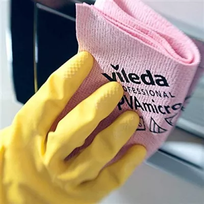 LAVETA VILEDA PVA MICRO ROSU VILEDA