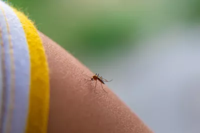 Mușcături de țânțari și insecte la bebeluși: cum protejezi pielea delicată vara