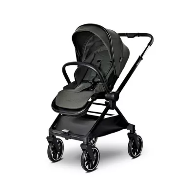Carucior Set 2 in 1, Reya, cos individual cu maner de transport, maner si sezut reversibile, pana la 22 kg, Green