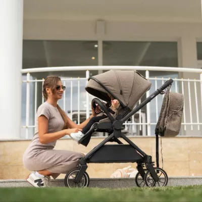 Carucior Set 2 in 1, Reya, cos individual cu maner de transport, maner si sezut reversibile, pana la 22 kg, Beige