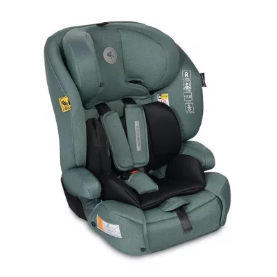 Scaun auto Benevento, Isofix, i-Size, 15 luni-12 ani, 76-150 cm, Verde Pin