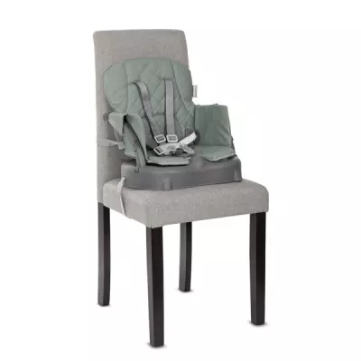 Scaun de masa pentru copii 3 in 1, Siesta, Green Leather