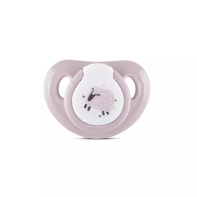 Set 2 suzete cu capac, silicon moale, 0 luni+, Mellow Rose