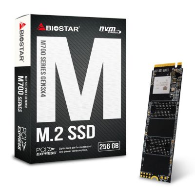 BIOSTAR M.2 SSD, M700-256GB, NVMe, PCIe 3, drive de stocare 256 GB